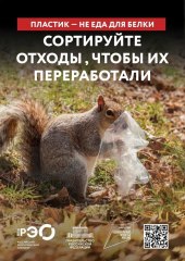 seria-9-animal-belka